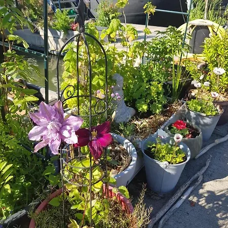 Euphrate Houseboat אמסטרדם