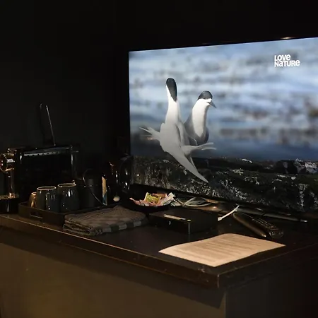 ספינת מלון Euphrate Houseboat *