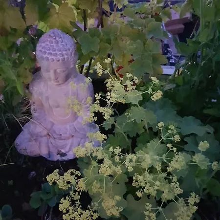 Euphrate Houseboat Амстердам