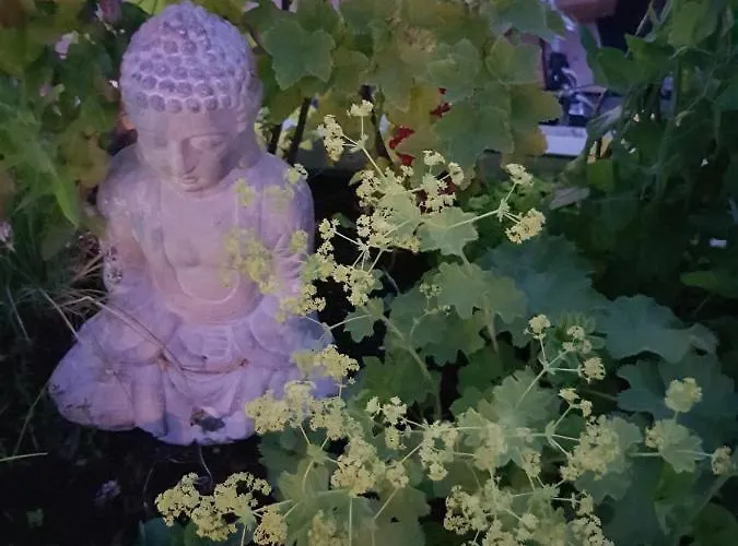 Euphrate Houseboat アムステルダム