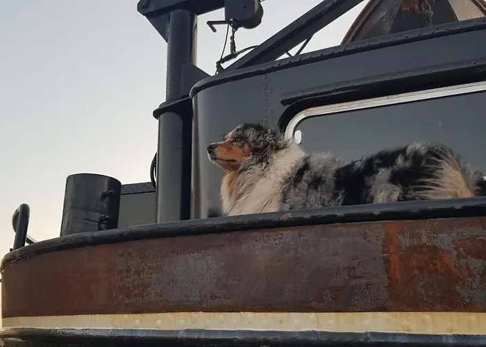 Euphrate Houseboat 船上ホテル アムステルダム