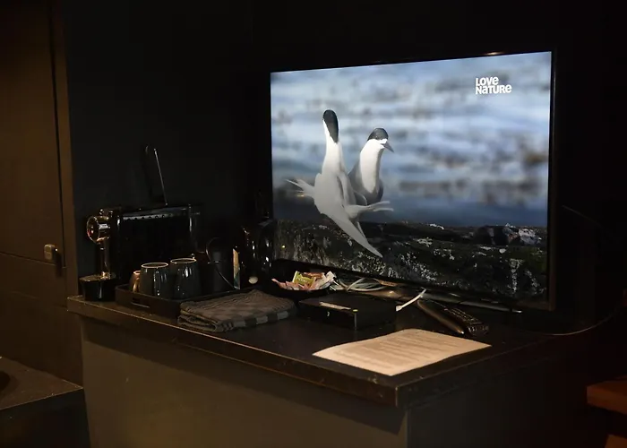 船上ホテル Euphrate Houseboat *